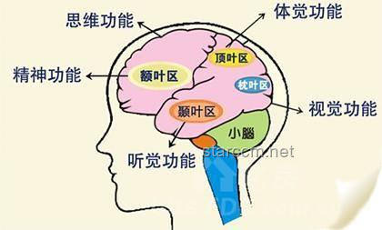 如果人類語言文字短時間創造，文字識別大腦皮層如何快速演化？