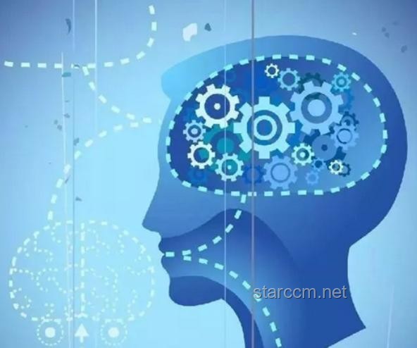 人的大腦會不會出現(xiàn)「過擬合」病？探究大腦學習與記憶的奧秘