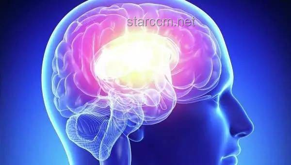 人的大腦會不會出現(xiàn)「過擬合」病？探究大腦學習與記憶的奧秘