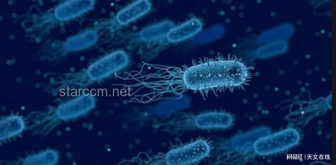 **中國(guó)空間站揭秘：微生物新物種的驚人發(fā)現(xiàn)**