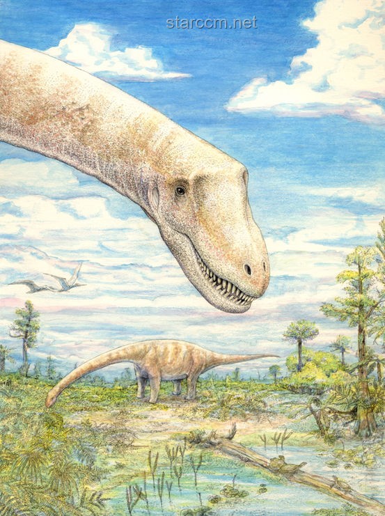 **中國(guó)空間站揭秘：微生物新物種的驚人發(fā)現(xiàn)**