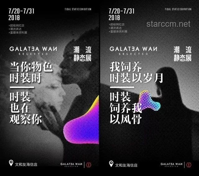 成毅空降：粉絲狂歡與文化現象的深度剖析