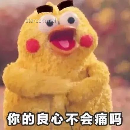 這就是緣分嗎？果然莫名其妙——揭秘那些不可思議的相遇瞬間