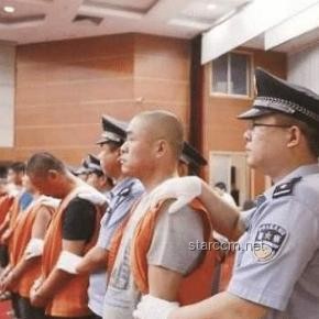 死緩制度下的執行選擇：申請立即執行的深度剖析