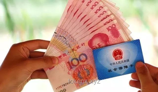 漲價后，迪卡儂顧客如何應對購物變化實用指南