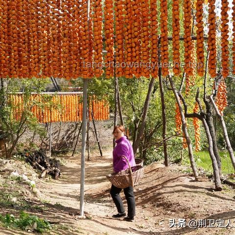 如何高效模仿不同地區(qū)美食劇氛圍，應(yīng)對忙碌拍攝日？