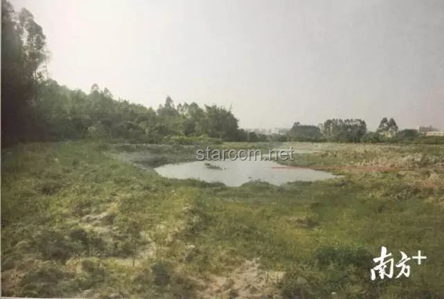 不出錢包下20畝大魚塘，高效養殖賺取大利潤實用指南