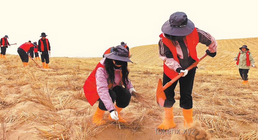 停更一月，我在甘肅民勤改造治沙人住所：打造防風保暖新居指南
