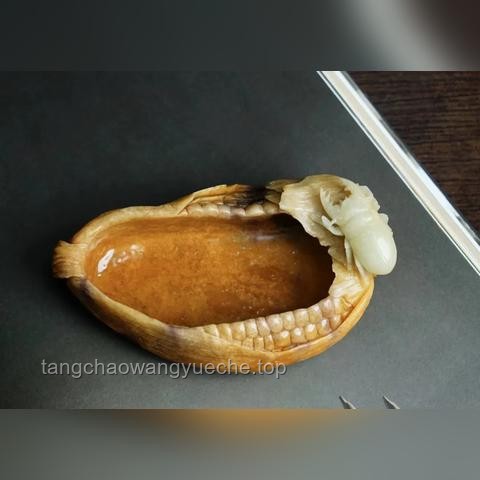 哪件舊物是你一直保留著的：情感價(jià)值、記憶載體與可持續(xù)性研究