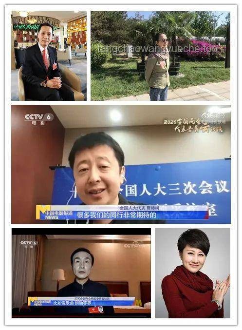 黃楊鈿甜事件透視：公共監督下的行業鏡像與挑戰