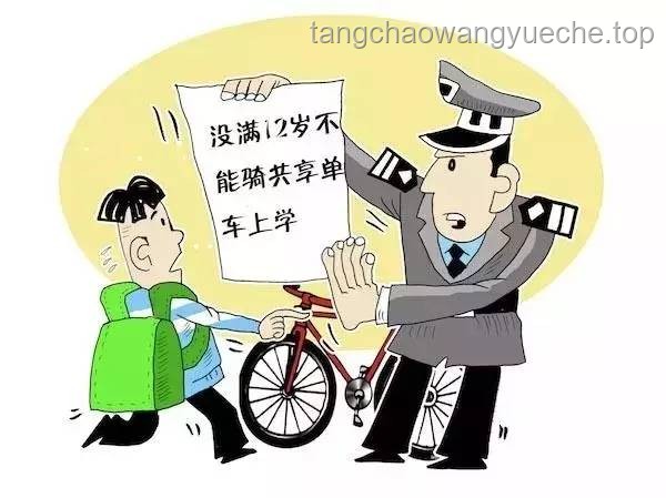 **一大批華人父母返貧邊緣現象與社會經濟變遷對比分析**