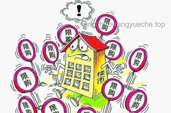 **一大批華人父母返貧邊緣現象與社會經濟變遷對比分析**