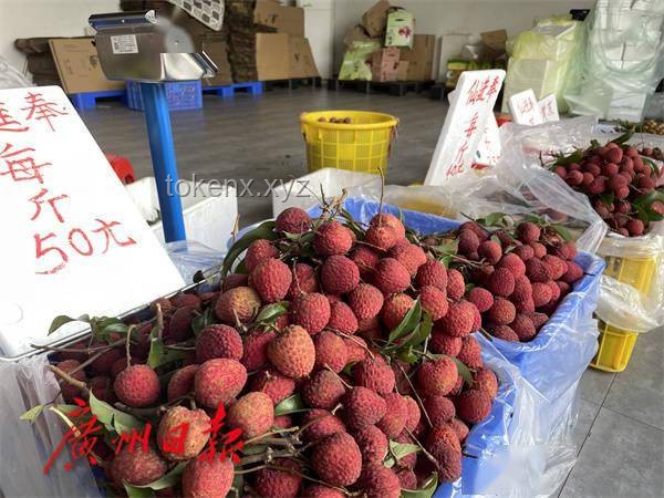 這一口荔枝等了一年：荔枝產業的季節性挑戰與可持續發展策略