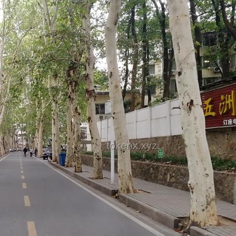 5月22日武漢暴雨警報解析：武大校門被淹，出行指南