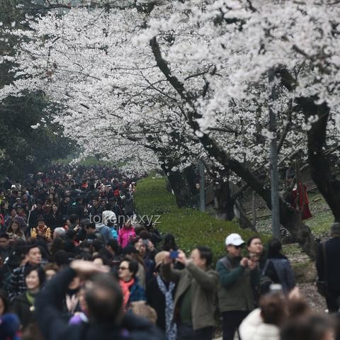 5月22日武漢暴雨警報解析：武大校門被淹，出行指南