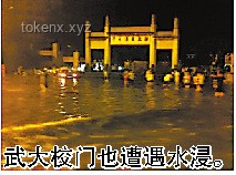 武大校門被淹一米深：城市內澇現象解析