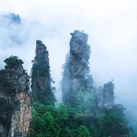 張家界暴雨洪水災害下的旅游業應對策略與行業洞察