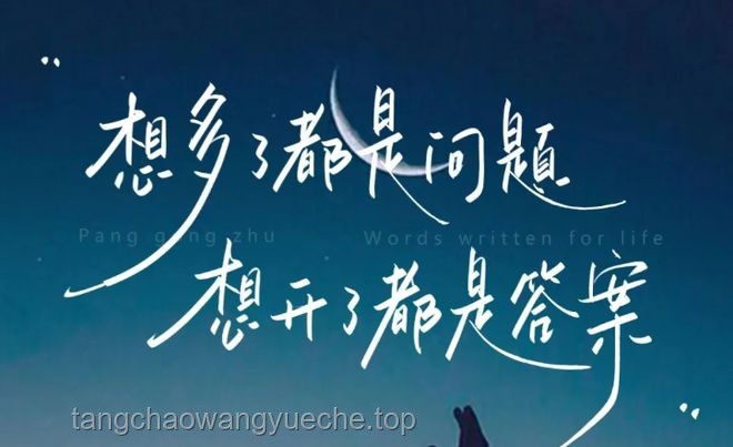 “曾經我也想過一了百了”與積極生活態度的對比分析：心理狀態、人生選擇與社會影響