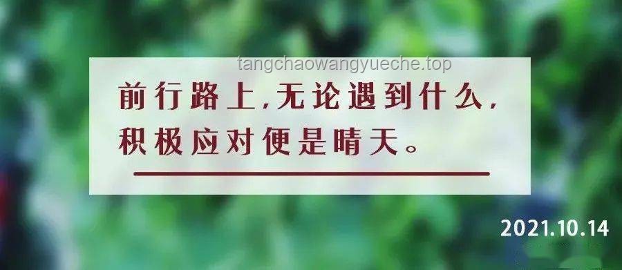 “曾經我也想過一了百了”與積極生活態度的對比分析：心理狀態、人生選擇與社會影響