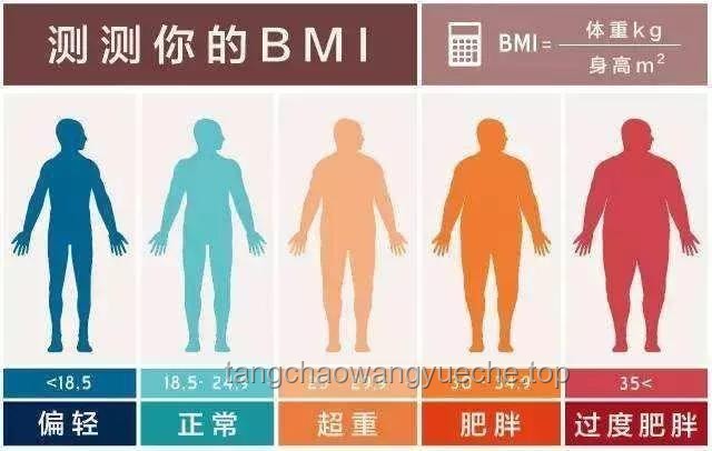 肥胖癥與健康管理：從600斤男子去世事件透視行業(yè)現(xiàn)狀與發(fā)展