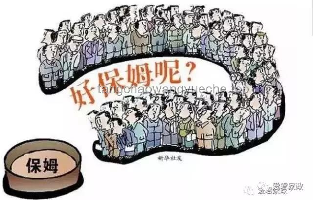 “灑家會(huì)些醫(yī)術(shù)，也略懂一些拳腳”：跨領(lǐng)域技能融合在現(xiàn)代社會(huì)的應(yīng)用與價(jià)值