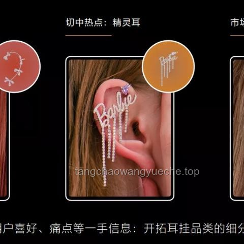 耳環市場的細分化趨勢與品牌策略創新案例研究