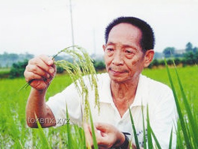 【袁隆平逝世四周年】農業科技創新與糧食安全：袁隆平精神引領行業發展