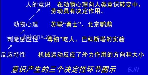 我之為我：探索個體意識與想法的起源與本質