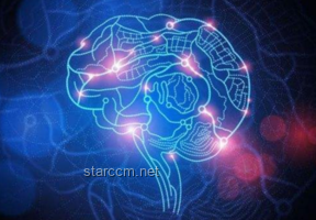 人類協作新高度：探討“默契程度”在高危作業中的決定性作用