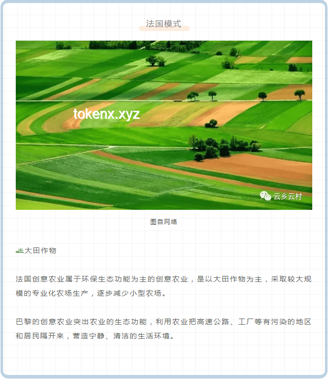 “禾下乘涼夢”的繼承與發揚：農業科技的未來趨勢與展望