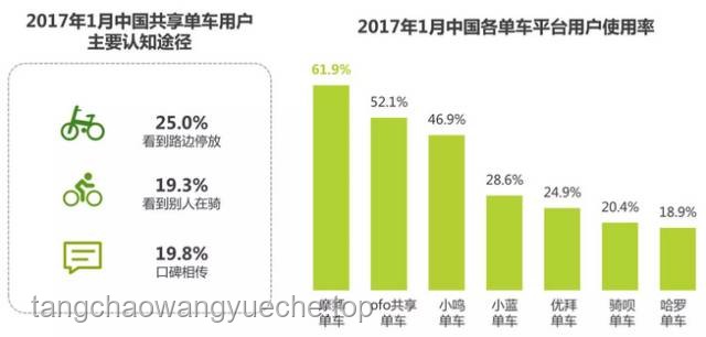 不打碼，全程高能：互聯網內容監管與用戶體驗的深度剖析