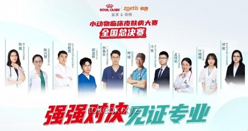 第二屆小動(dòng)物皮膚病論壇過敏主題實(shí)操指南：專家破解臨床診療困局
