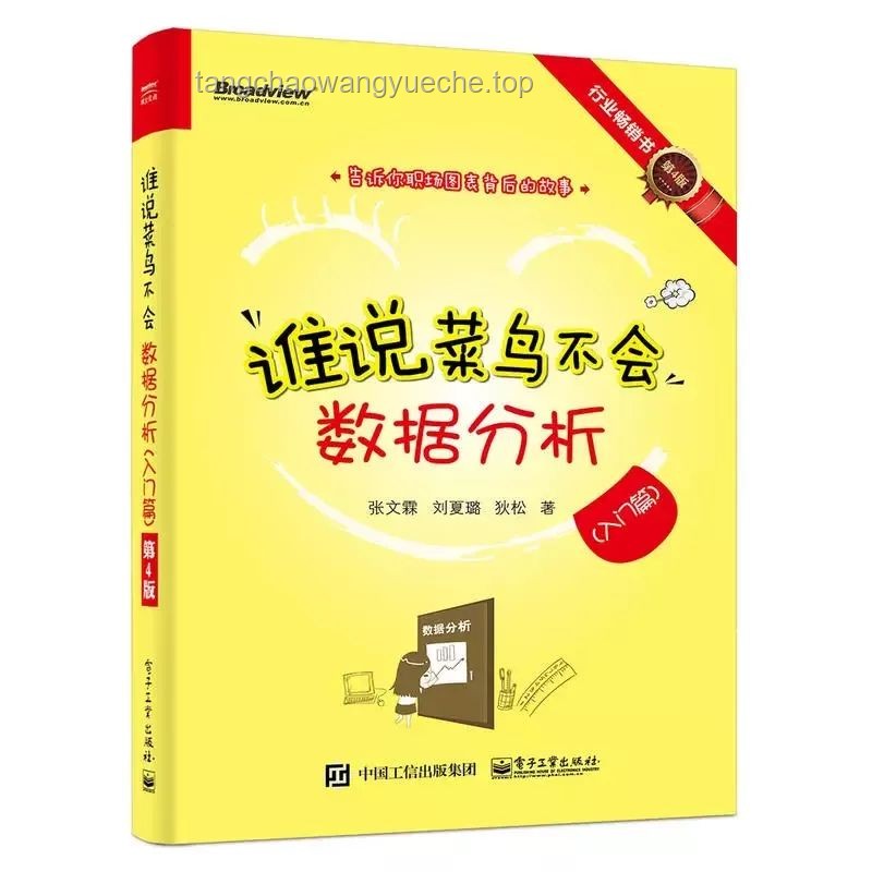 掌握Excel高效技巧，提升數據處理能力