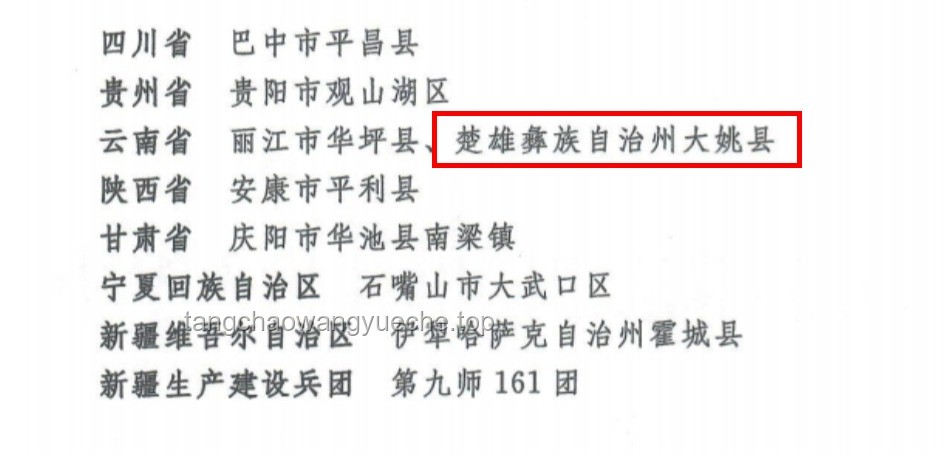 **從“神似傅首爾”到反義詞爆紅：創意命名的創新思維之旅**