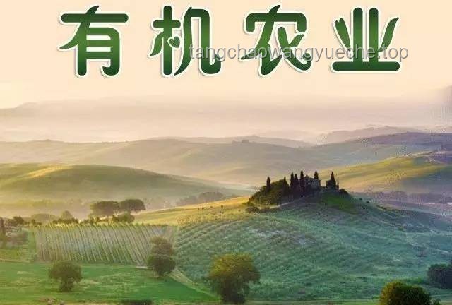 農村生活的治愈力量：新時代的田園牧歌與行業機遇