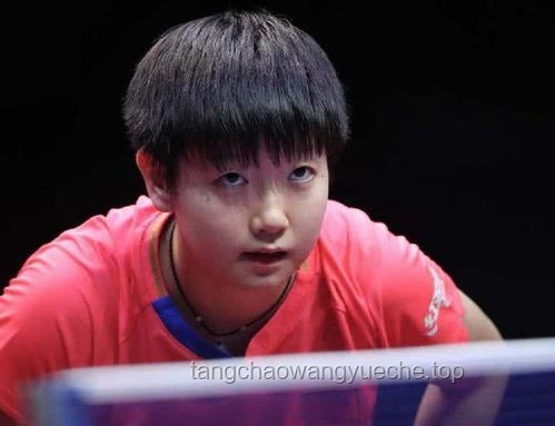 **孫穎莎哭了：背后的汗水、堅持與榮耀**