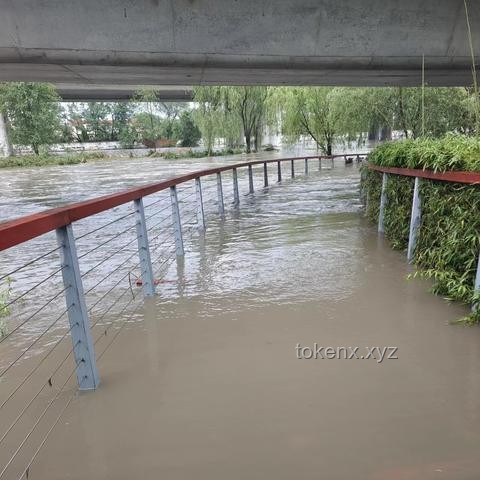 什么橋都敢堵？了解交通違法行為與公共安全