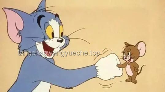 如何應對“老貓猴子進村”帶來的系列問題？