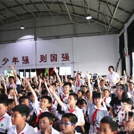 如何有效解決油紙傘6使用中的常見問題