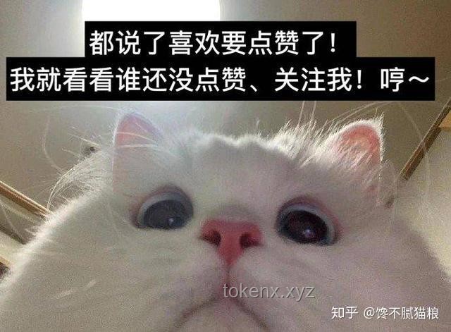 帶有水質凈化系統的貓貓部落瞭望塔：生態與智慧共生的創新實踐