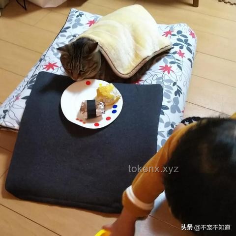 哈哈墻推術：解鎖創新思維的另類關卡秘籍