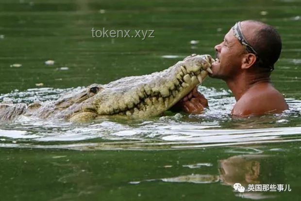**鱷魚效應下的情感斷崖：如何應對突然冷落**