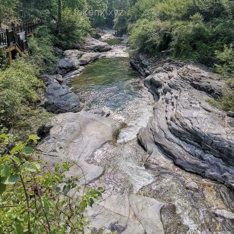 河南酷暑下山村女教師的教育堅守：社會支持體系的構建與行業趨勢分析