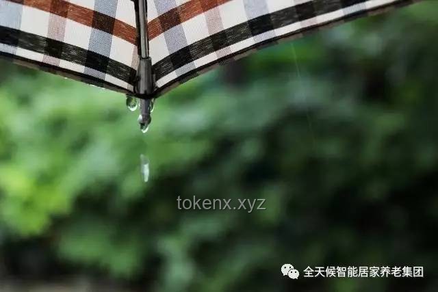 如何有效維護與修復油紙傘6的常見問題