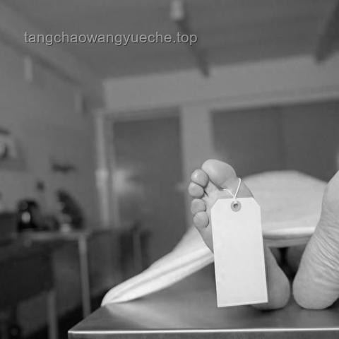 失蹤女碩士生育2孩案追蹤：了解案件進展與應對策略