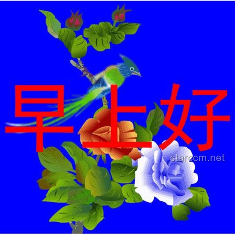 揭秘！人為什么要睡覺？那些夜深人靜時的奇妙旅程