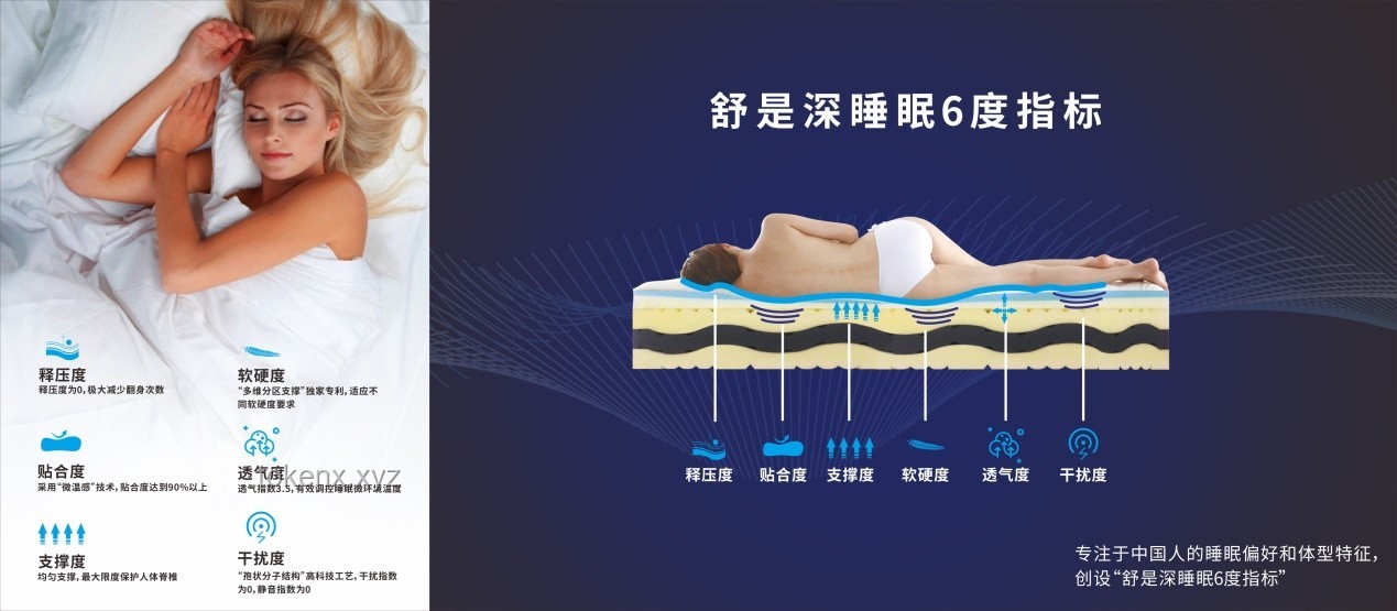 人為什么要睡覺：睡眠科學、健康管理與技術應用的深度洞察