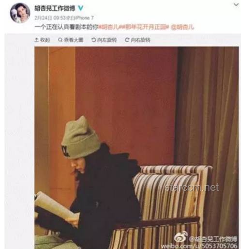 劉若英道歉事件引發的娛樂行業公關危機管理洞察