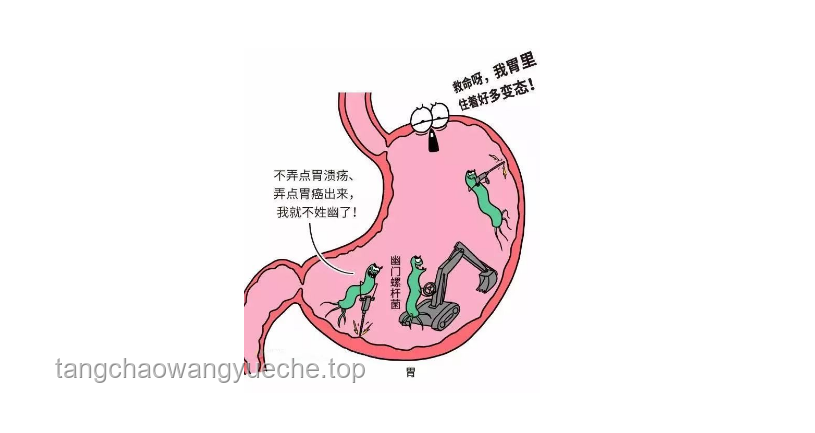 幽門螺桿菌：一人感染，全家需警惕的細菌