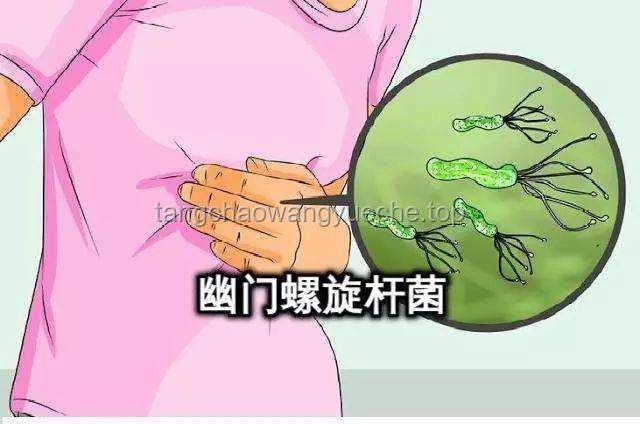 幽門螺桿菌：一人感染，全家需警惕的細菌